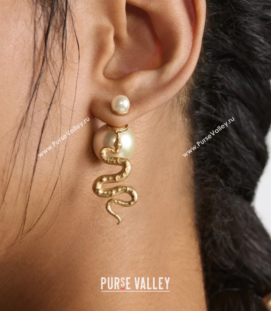 Dior Chinese Year of Snake Tribales Earrings 2025 (YF-250319131)
