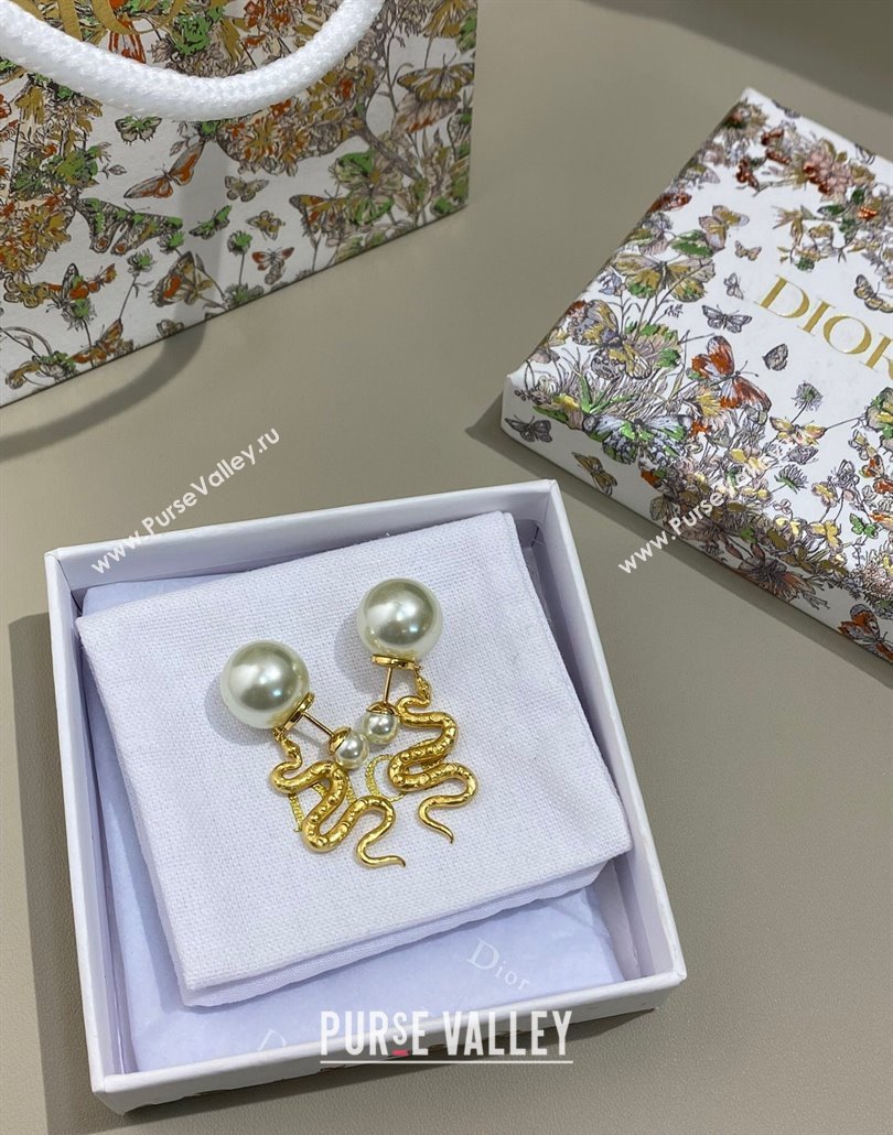 Dior Chinese Year of Snake Tribales Earrings 2025 (YF-250319131)