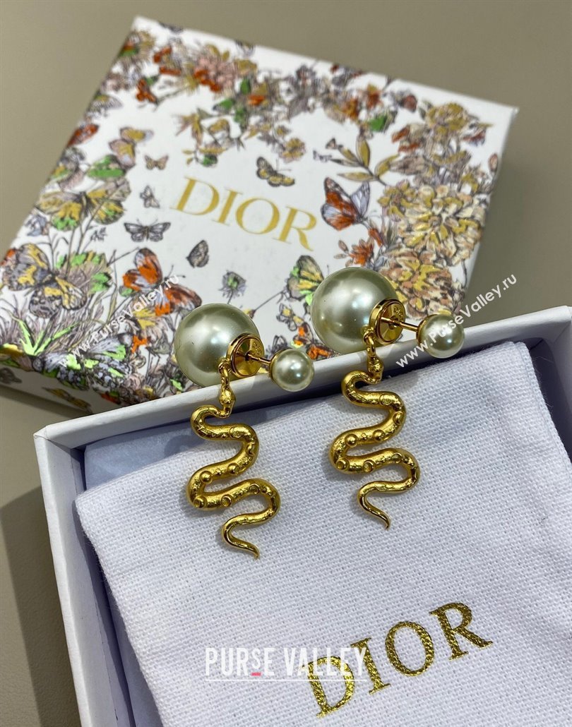 Dior Chinese Year of Snake Tribales Earrings 2025 (YF-250319131)