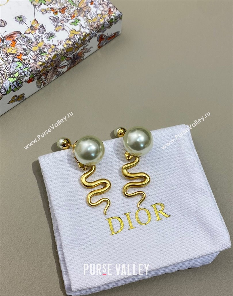 Dior Chinese Year of Snake Tribales Earrings 2025 (YF-250319131)