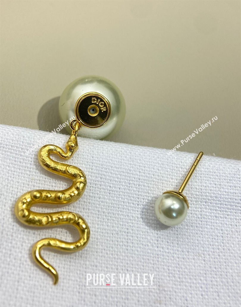 Dior Chinese Year of Snake Tribales Earrings 2025 (YF-250319131)