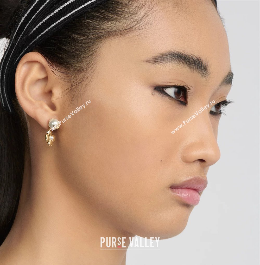 Dior Lucky Dior Earrings 2025 0319 (YF-250319140)