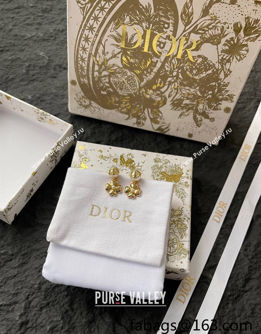 Dior Lucky Dior Earrings 2025 0319 (YF-250319140)