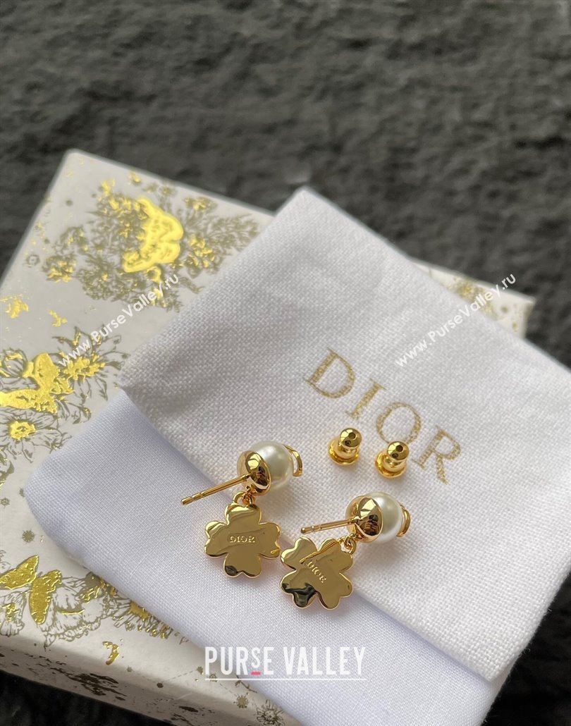 Dior Lucky Dior Earrings 2025 0319 (YF-250319140)