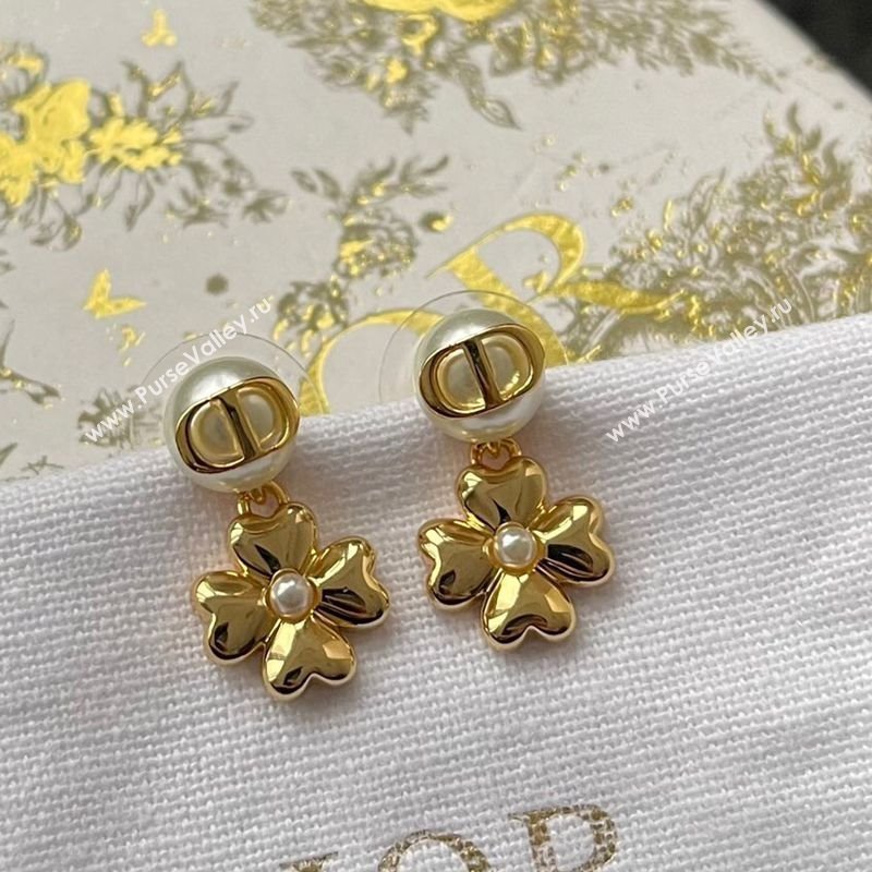 Dior Lucky Dior Earrings 2025 0319 (YF-250319140)