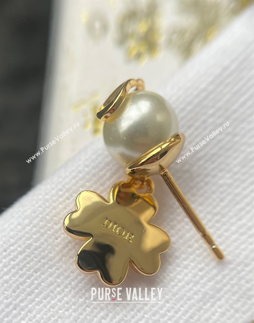 Dior Lucky Dior Earrings 2025 0319 (YF-250319140)