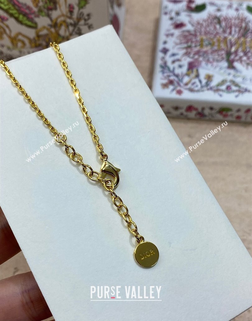 Dior Star Bracelet 2025 0319 (YF-250319141)