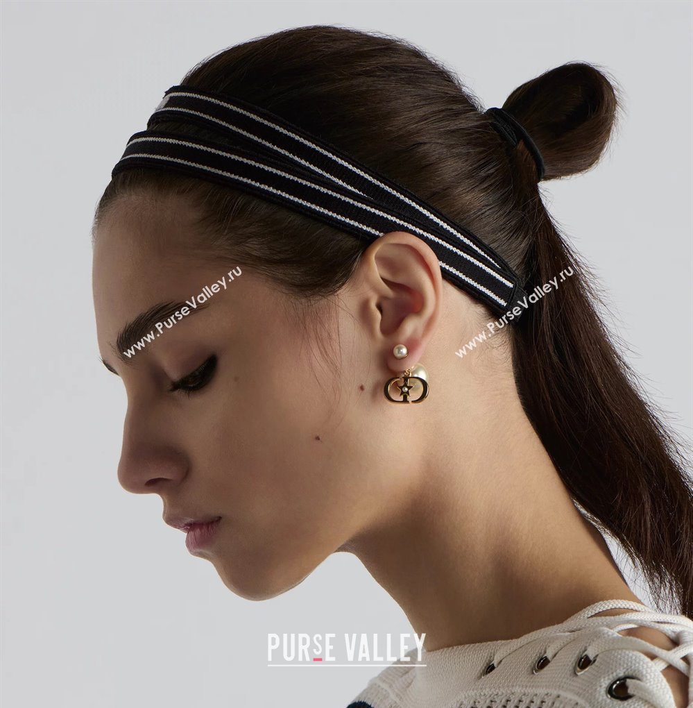 Dior Tribales CD Earrings 2025 0319 (YF-250319142)