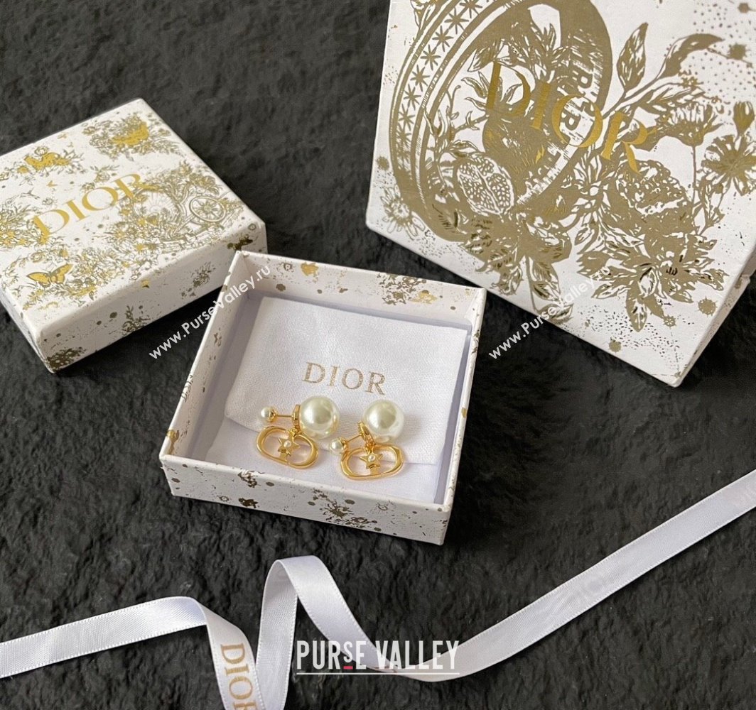 Dior Tribales CD Earrings 2025 0319 (YF-250319142)