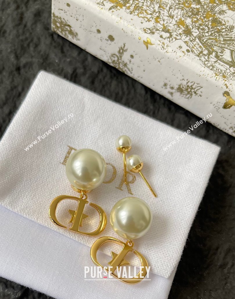 Dior Tribales CD Earrings 2025 0319 (YF-250319142)