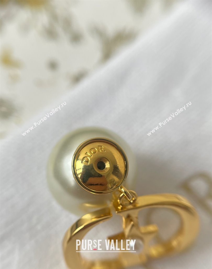 Dior Tribales CD Earrings 2025 0319 (YF-250319142)