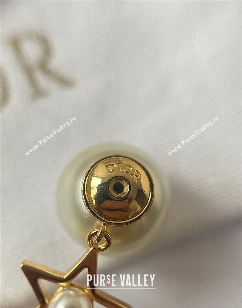 Dior Tribales Star Earrings 2025 0319 (YF-250319144)