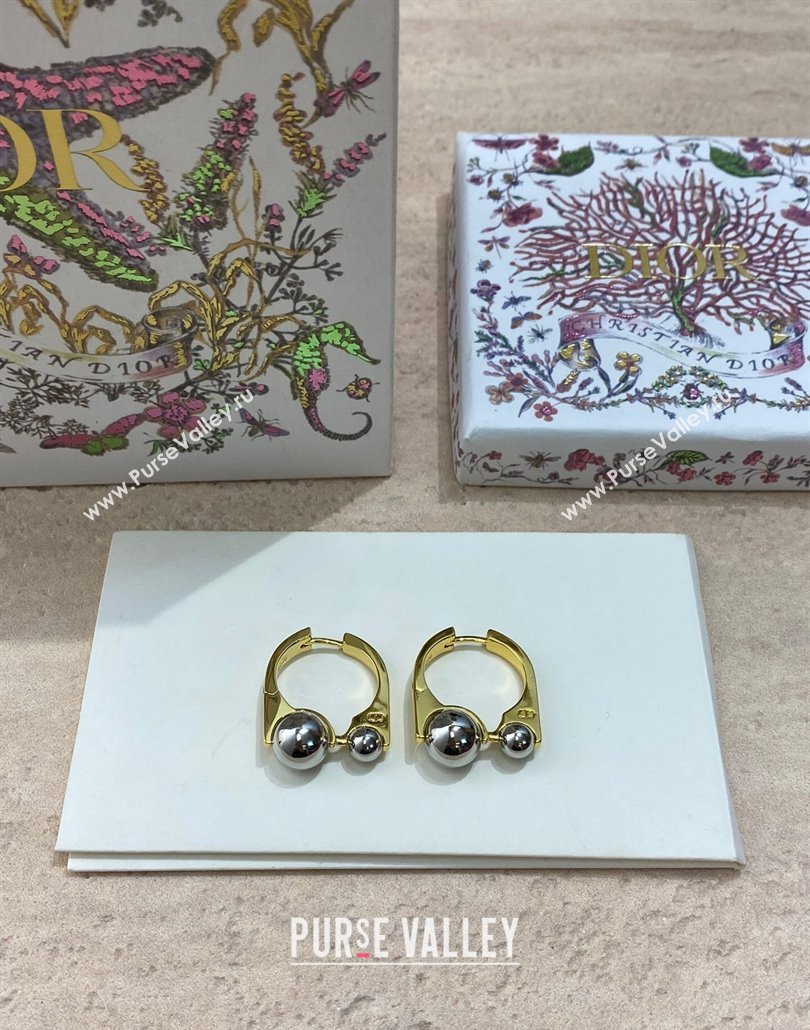 Dior Tribales New Loop Earrings 2025 0319 (YF-250319145)