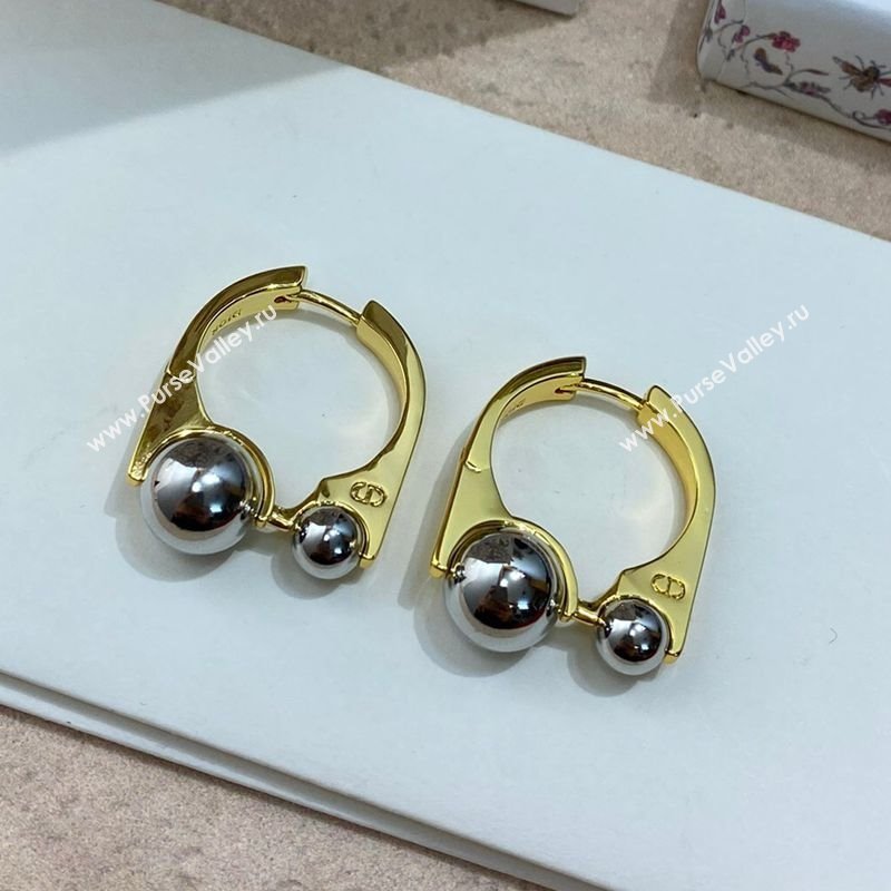 Dior Tribales New Loop Earrings 2025 0319 (YF-250319145)