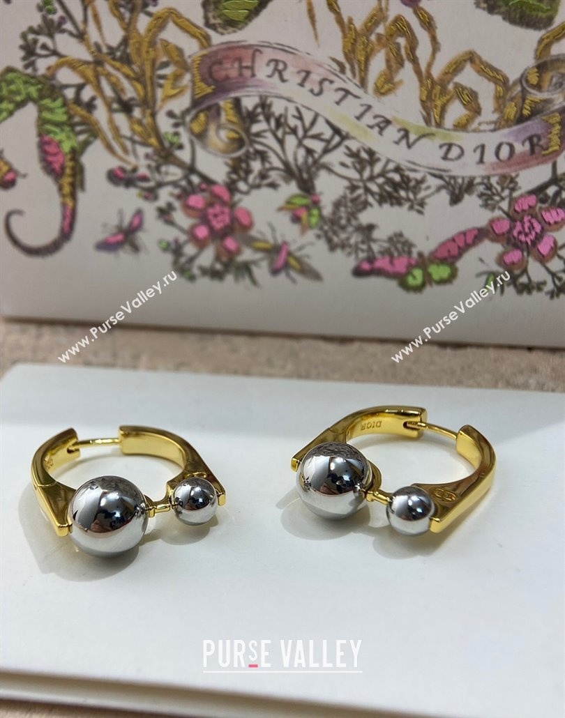 Dior Tribales New Loop Earrings 2025 0319 (YF-250319145)