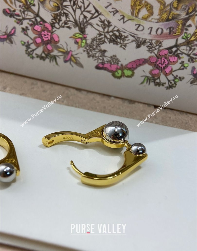 Dior Tribales New Loop Earrings 2025 0319 (YF-250319145)