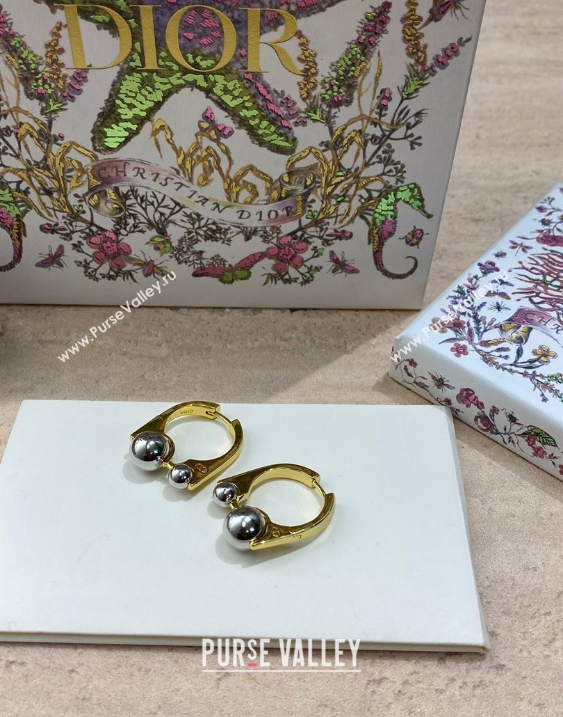 Dior Tribales New Loop Earrings 2025 0319 (YF-250319145)