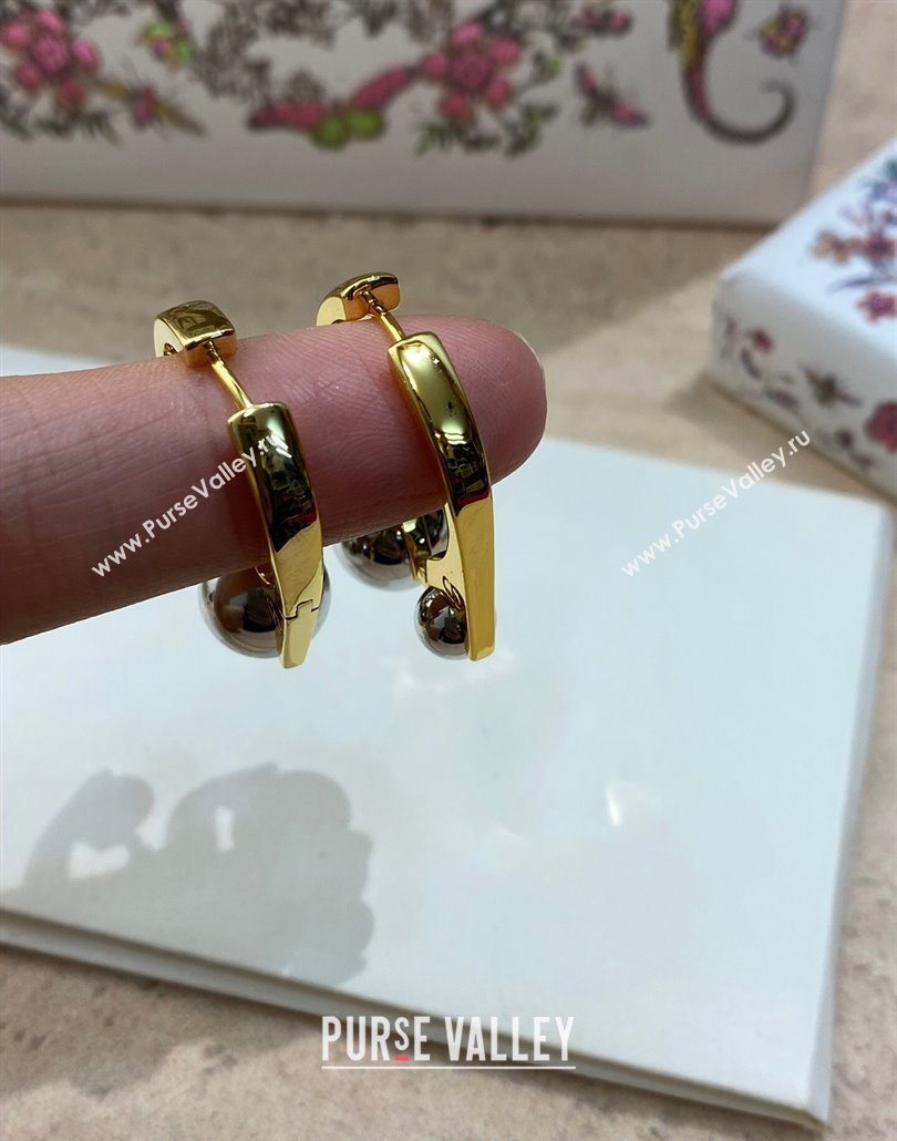 Dior Tribales New Loop Earrings 2025 0319 (YF-250319145)