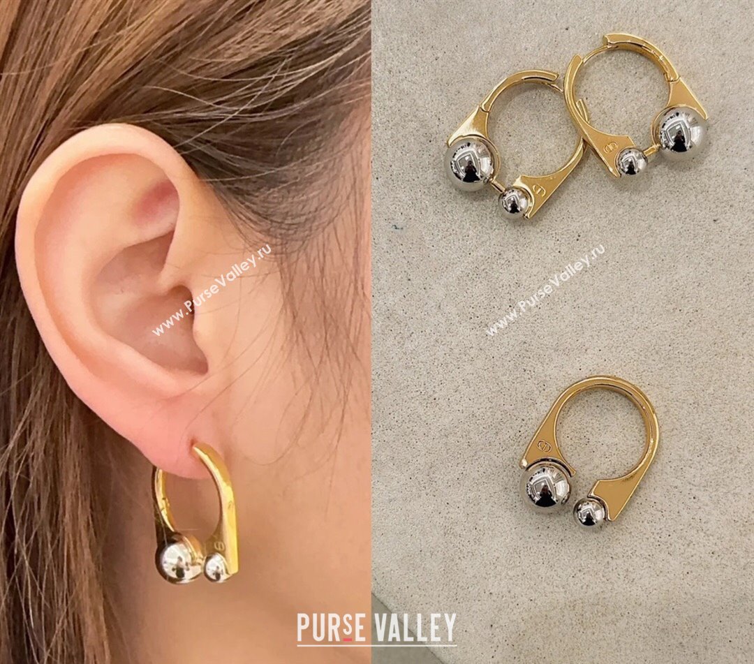 Dior Tribales New Loop Earrings 2025 0319 (YF-250319145)