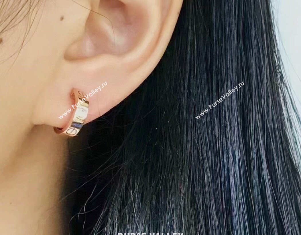Cartier LOVE Hoop Earrings , Classic Model Rose Gold 2025 0320125 (YF-250320127)