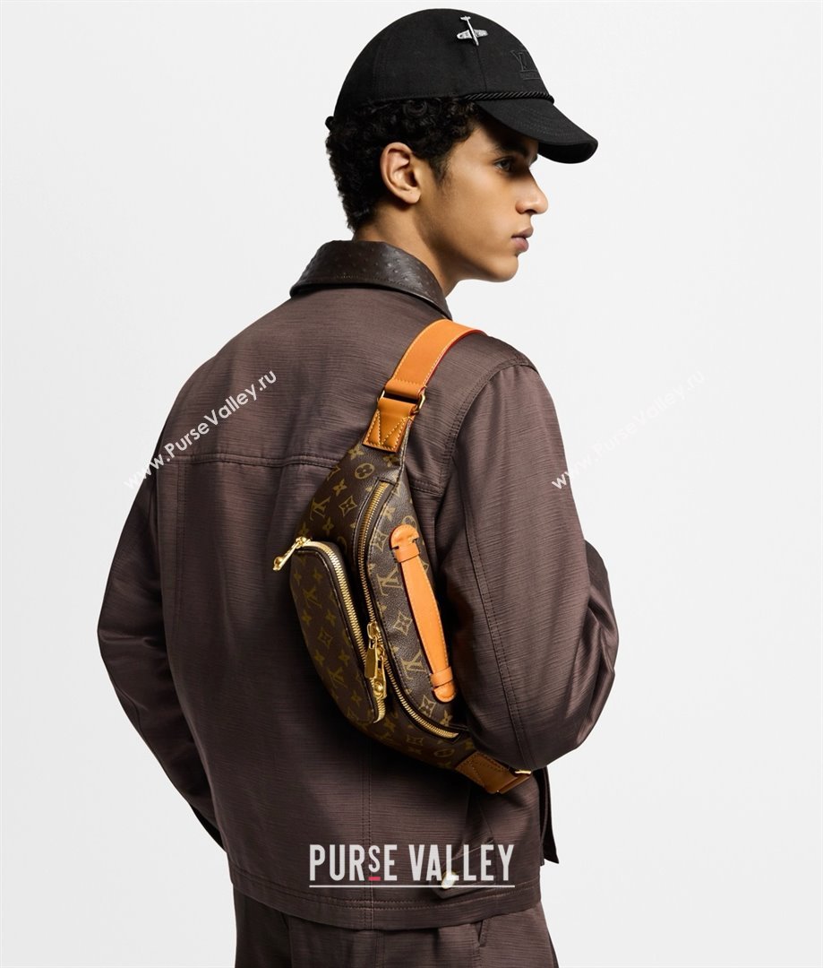 Louis Vuitton Rush Bumbag Bag in Monogram Canvas M14019 2025 (K-25032102)