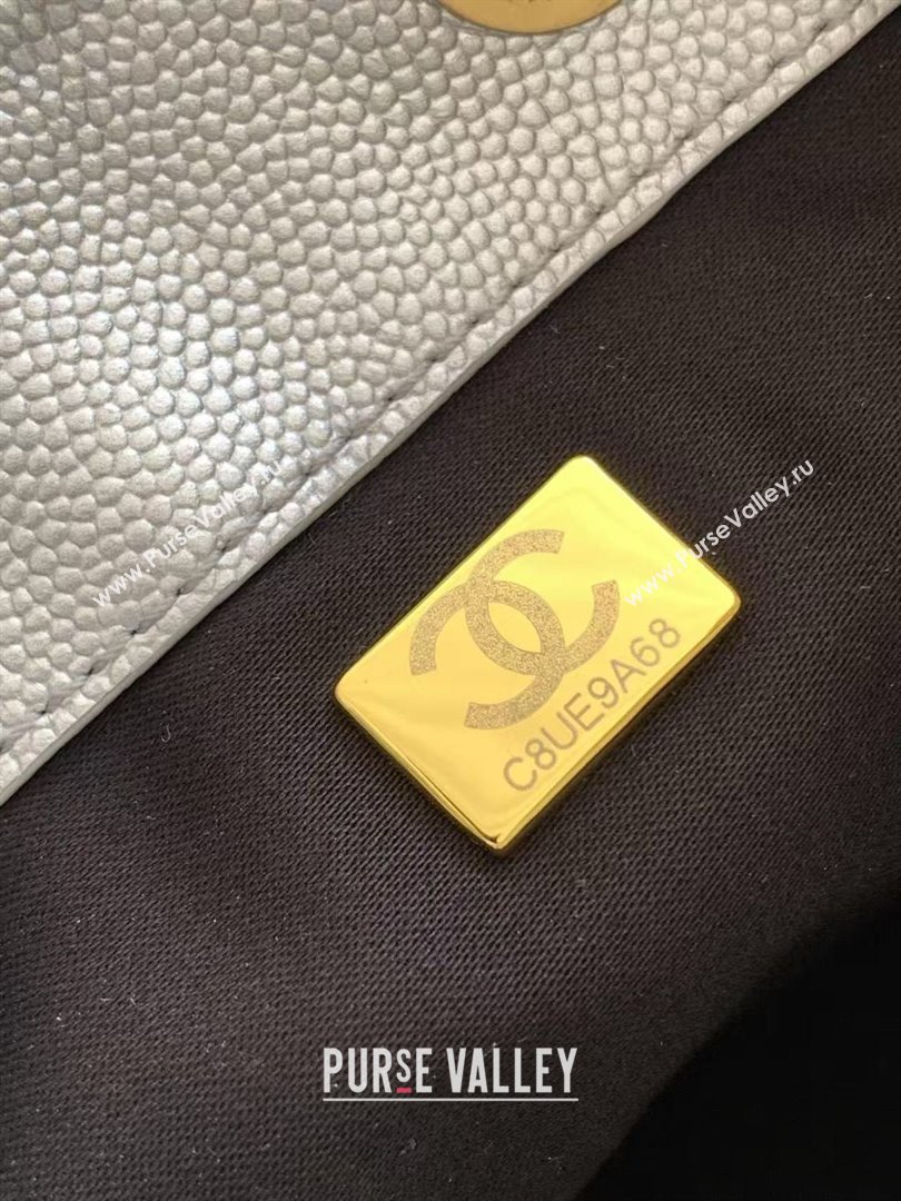 Chanel 25 Small Handbag in Grained Calfskin AS5293 Silver Spring-Summer 2025 (YEZI-25050605)