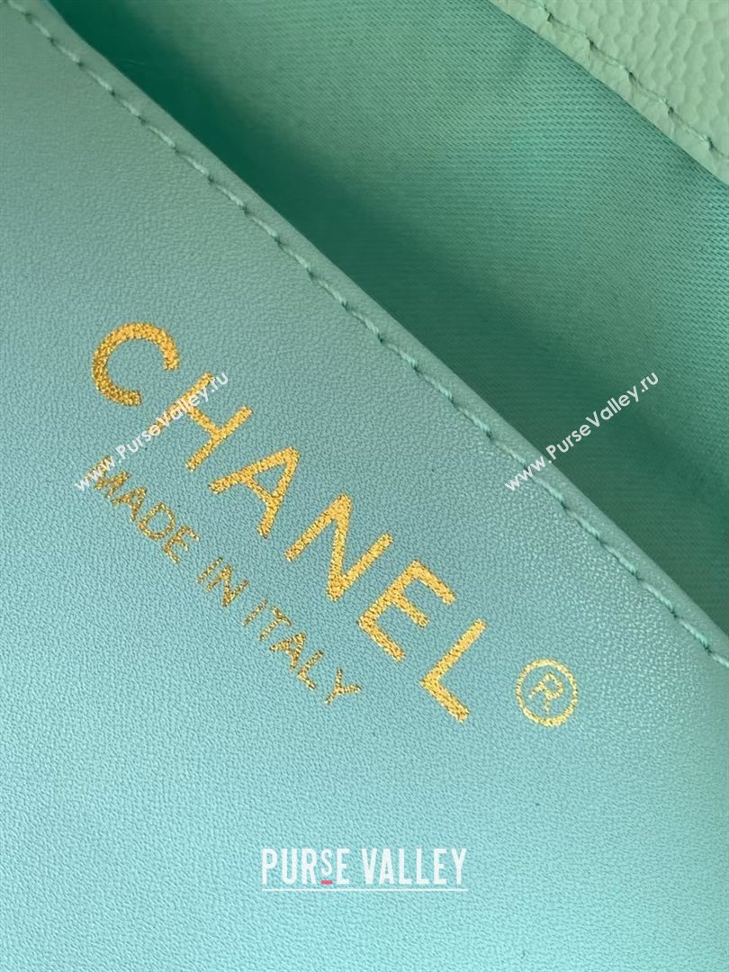 Chanel 25 Small Handbag in Grained Calfskin AS5293 Green Spring-Summer 2025 (YEZI-25050602)