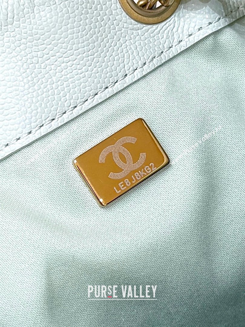 Chanel 25 Small Handbag in Grained Calfskin AS5293 Light Green Spring-Summer 2025 Top Quality (SHUNY-25050613)