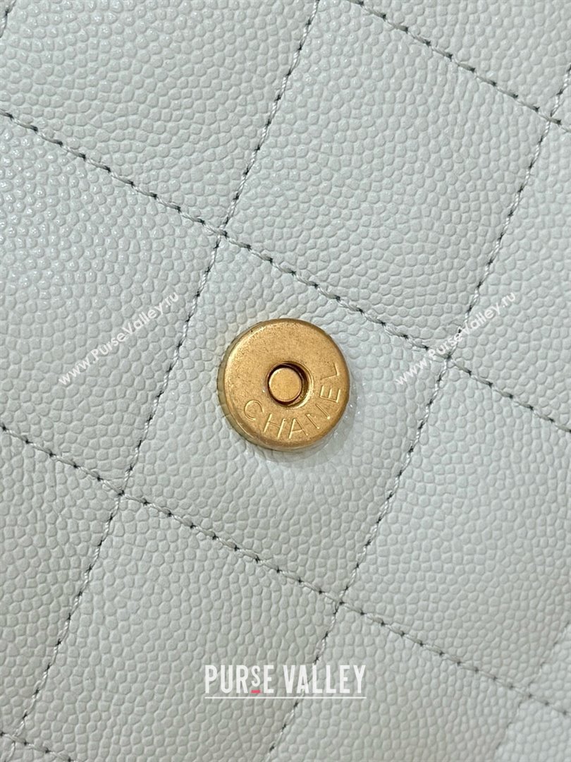 Chanel 25 Small Handbag in Grained Calfskin AS5293 Light Green Spring-Summer 2025 Top Quality (SHUNY-25050613)