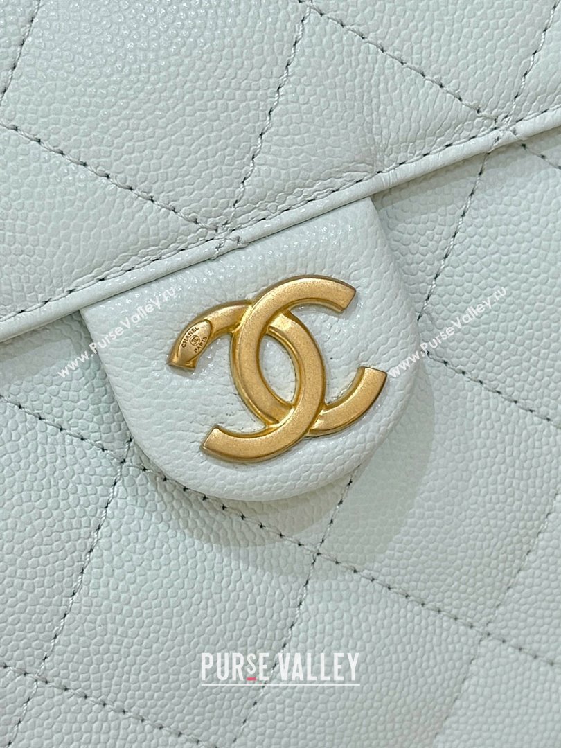 Chanel 25 Small Handbag in Grained Calfskin AS5293 Light Green Spring-Summer 2025 Top Quality (SHUNY-25050613)