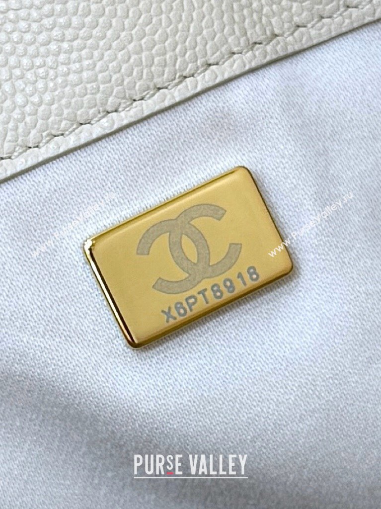 Chanel 25 Small Handbag in Grained Calfskin AS5293 Beige Spring-Summer 2025 Top Quality (SHUNY-25050615)