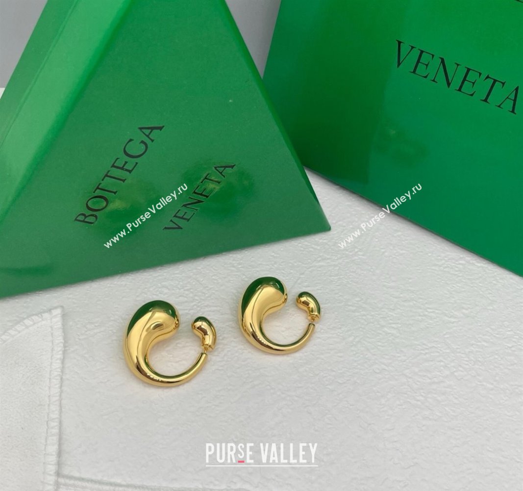 Bottega Veneta Drop Earrings Gold 2025 0509 (YF-250509103)