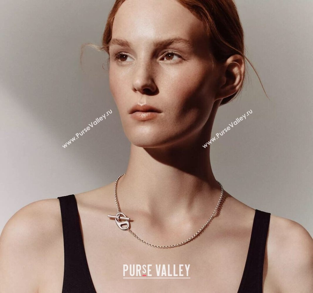 Hermes Chaine dAncre Short Peandant Necklace Silver 2025 051003 (YF-25051015)