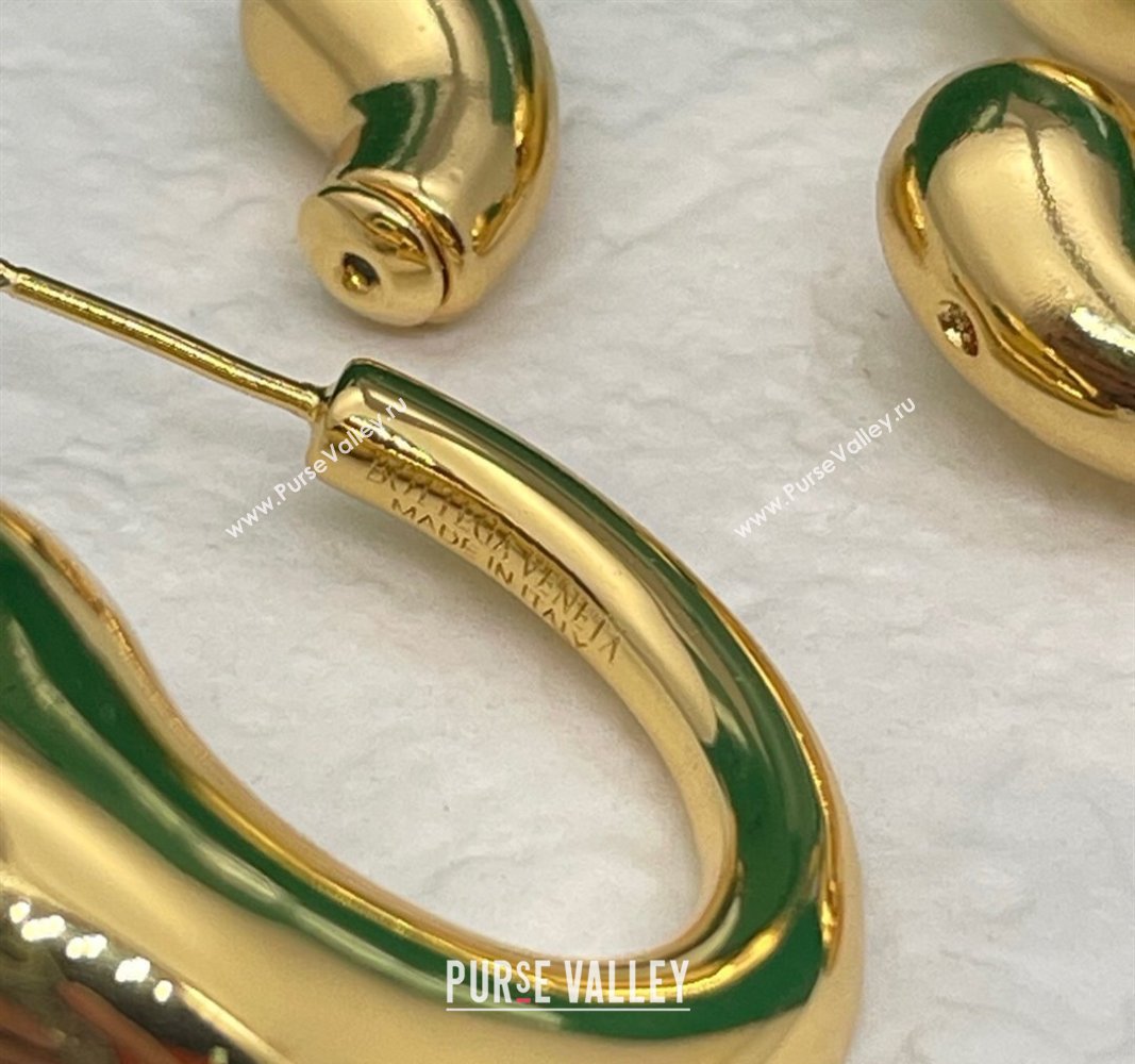 Bottega Veneta Drop Earrings Gold 2025 0509 (YF-250509103)