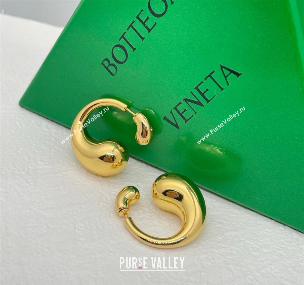 Bottega Veneta Drop Earrings Gold 2025 0509 (YF-250509103)