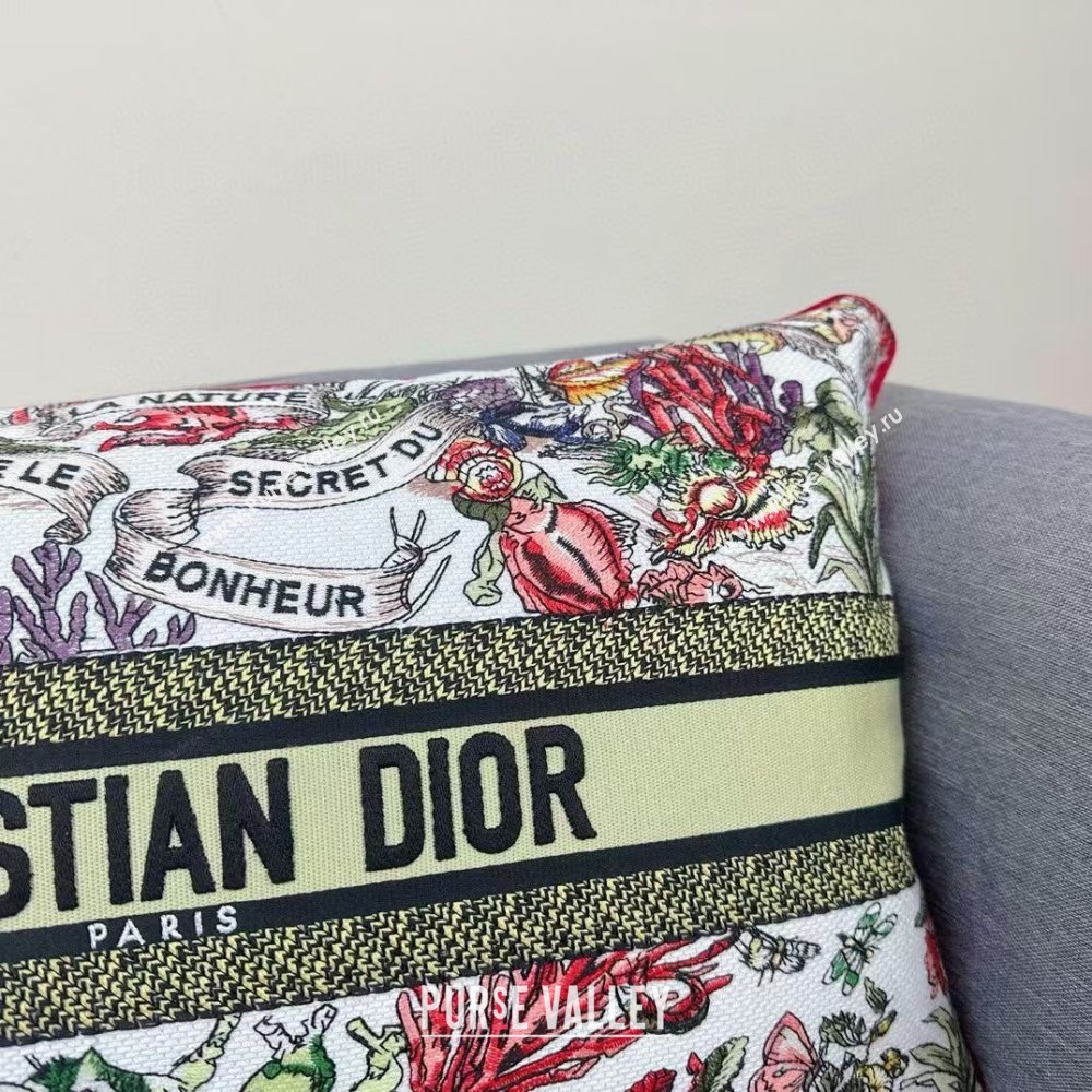 Dior Embroidered Cotton Rectangular Pillow 30x50cm D060701 2025 (ASL-25060702)