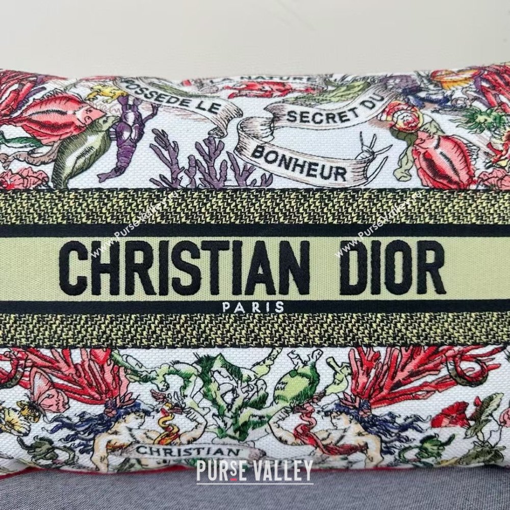 Dior Embroidered Cotton Rectangular Pillow 30x50cm D060701 2025 (ASL-25060702)