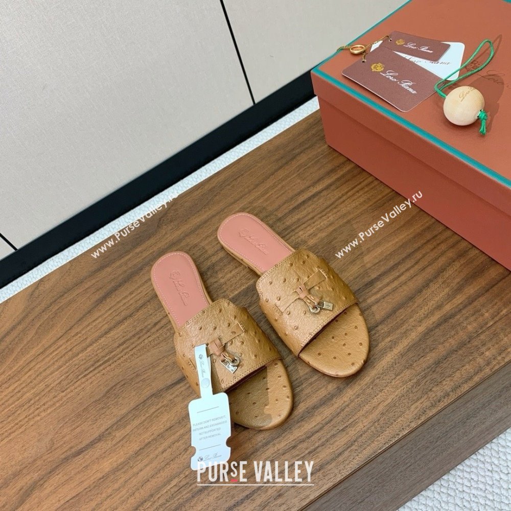 Loro Piana Summer Charms Slides Sandal in Ostrich Pattern Leather LP62320 Brown 2025 (HH-25062320)