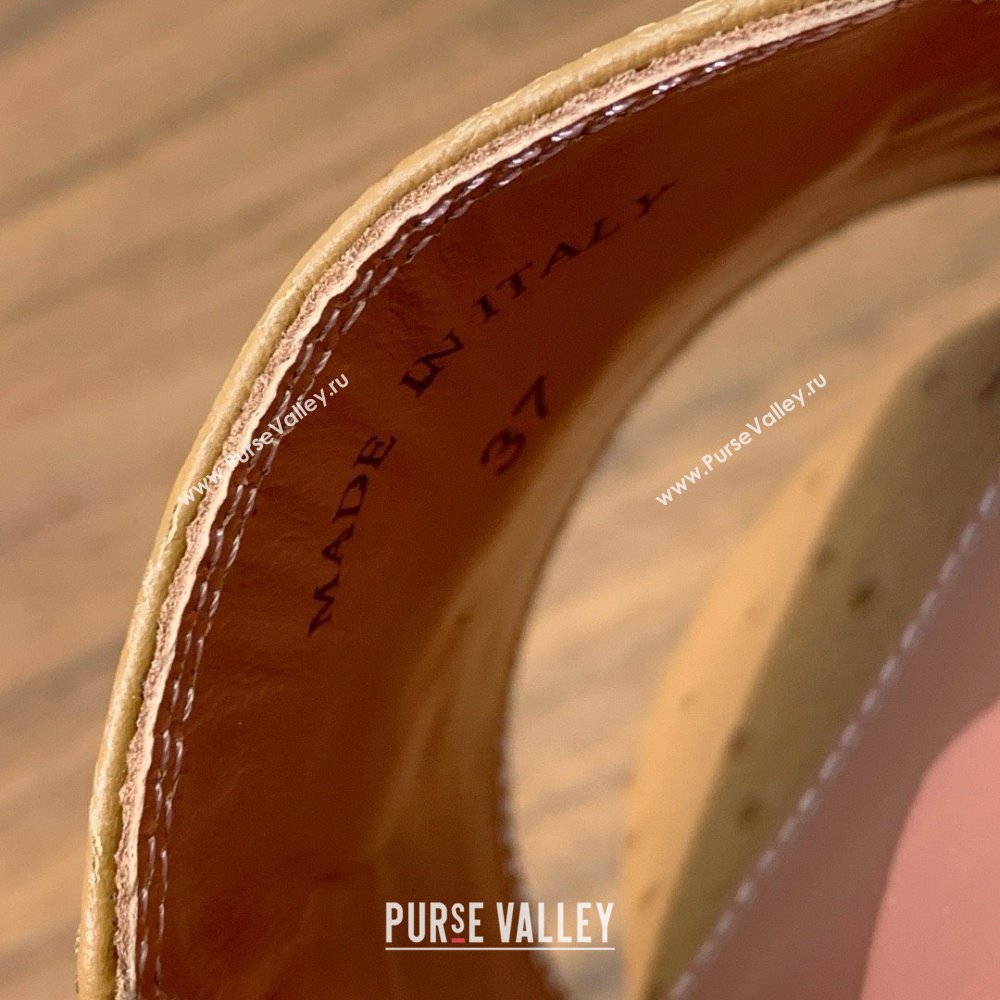 Loro Piana Summer Charms Slides Sandal in Ostrich Pattern Leather LP62320 Brown 2025 (HH-25062320)