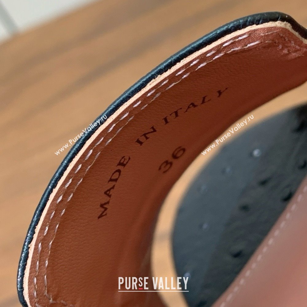 Loro Piana Summer Charms Sandal 5.5cm Heel in Ostrich Pattern Leather LP62302 Black 2025 (HH-25062302)