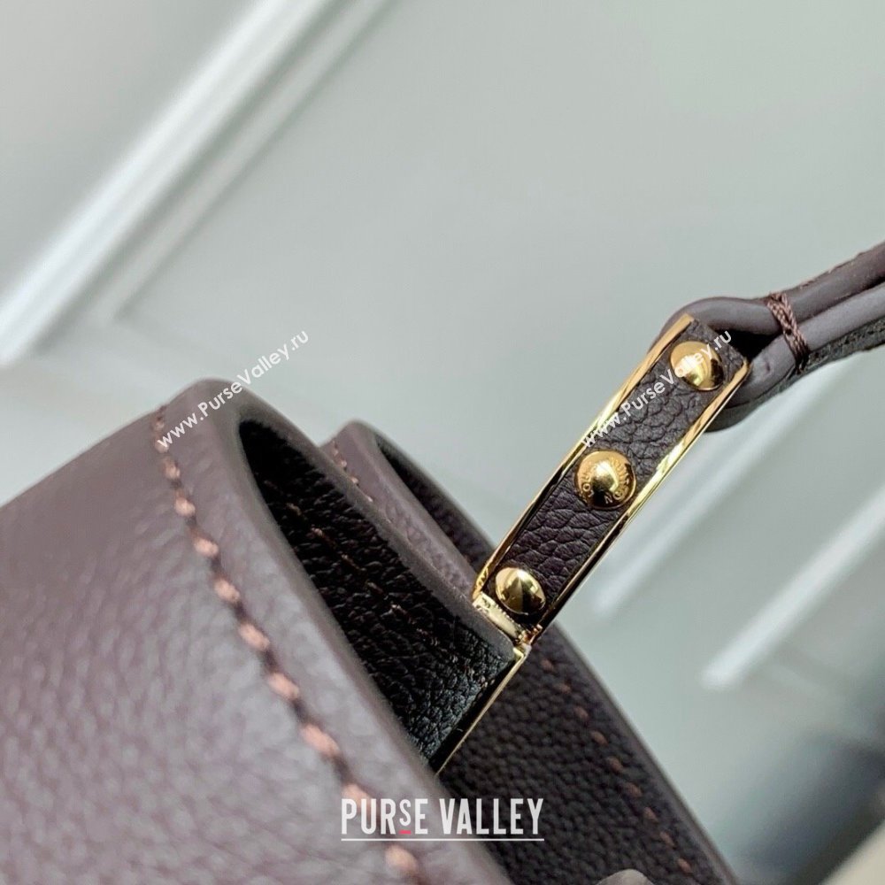 Louis Vuitton Capucines MM Souple Bag in Calf Leather M12927 Chocolate 2025 (K-25061310)