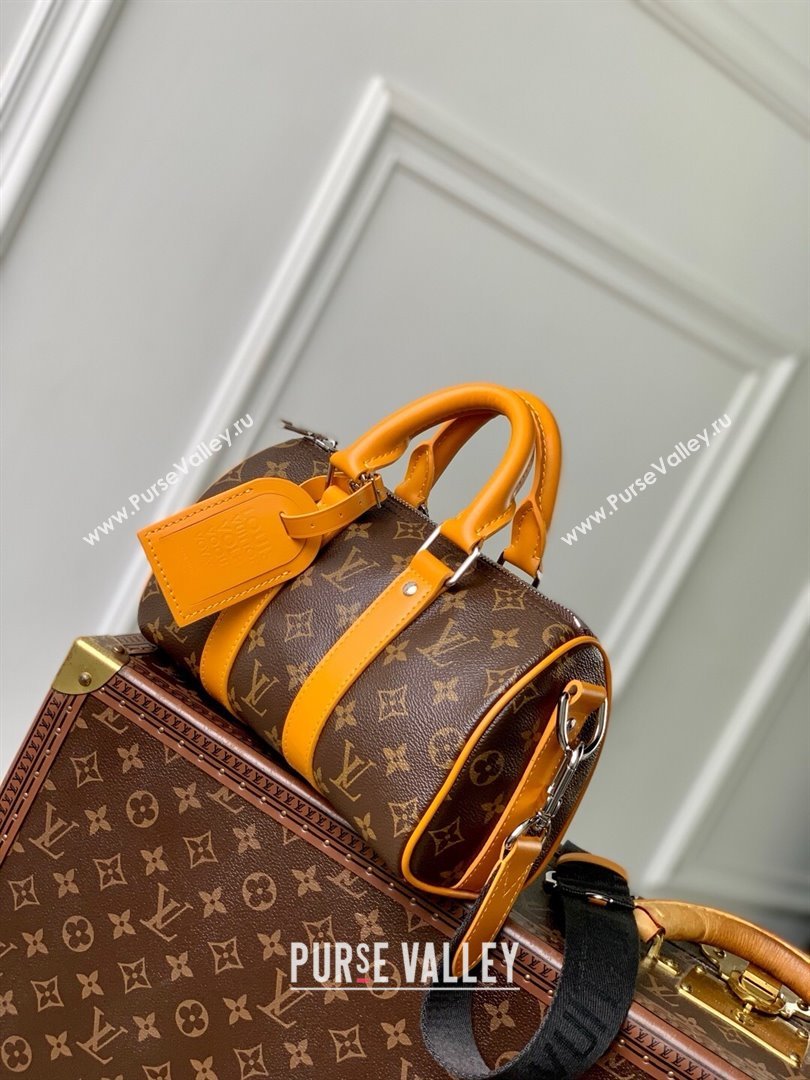 Louis Vuitton Keepall Bandouliere 25 Bag in Monogram Macassar Canvas Safran Yellow M12733 2025 (K-25061312)