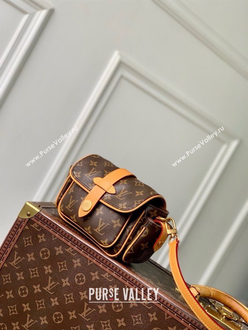 Louis Vuitton Cargo Wearable Wallet in Monogram Canvas M14742 2025 (K-25061803)