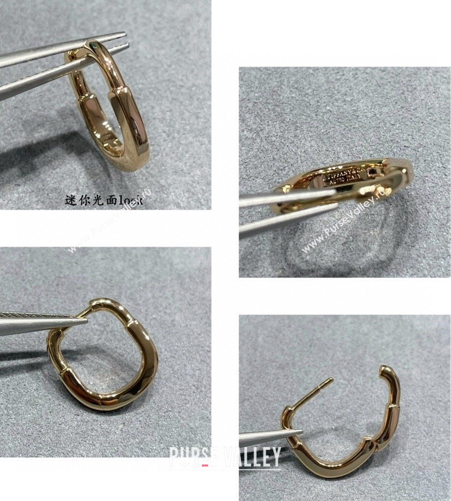 Tiffany Lock Small Earrings in Metal-Tone 2025 0619 (YF-250619048)