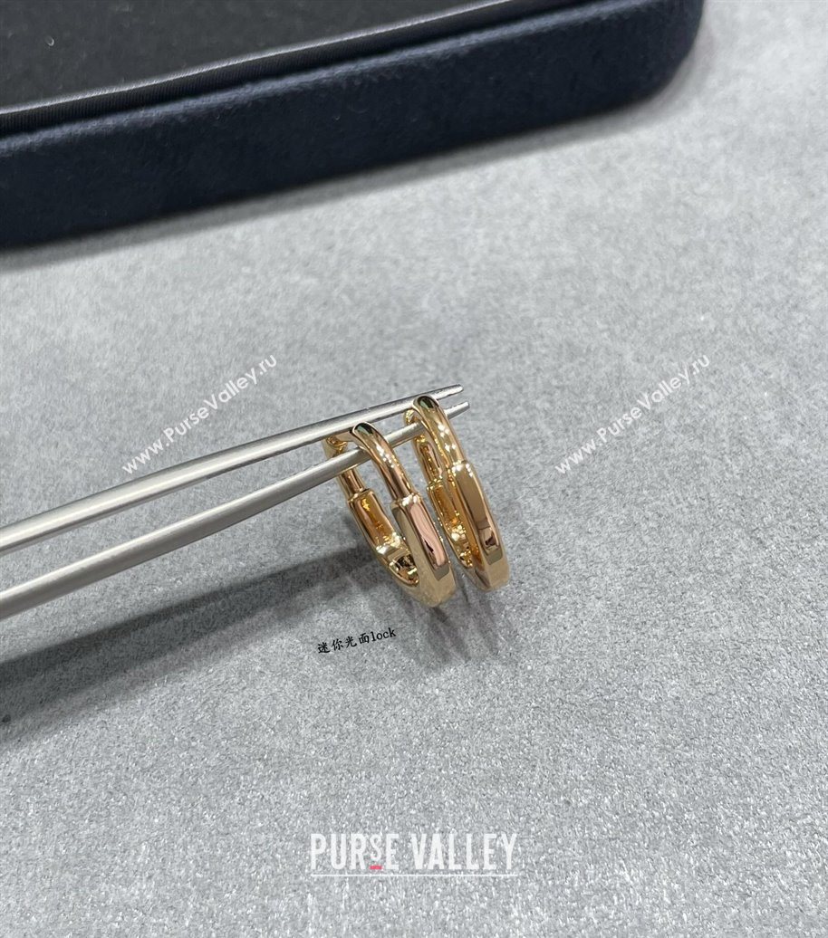 Tiffany Lock Small Earrings in Metal-Tone 2025 0619 (YF-250619048)
