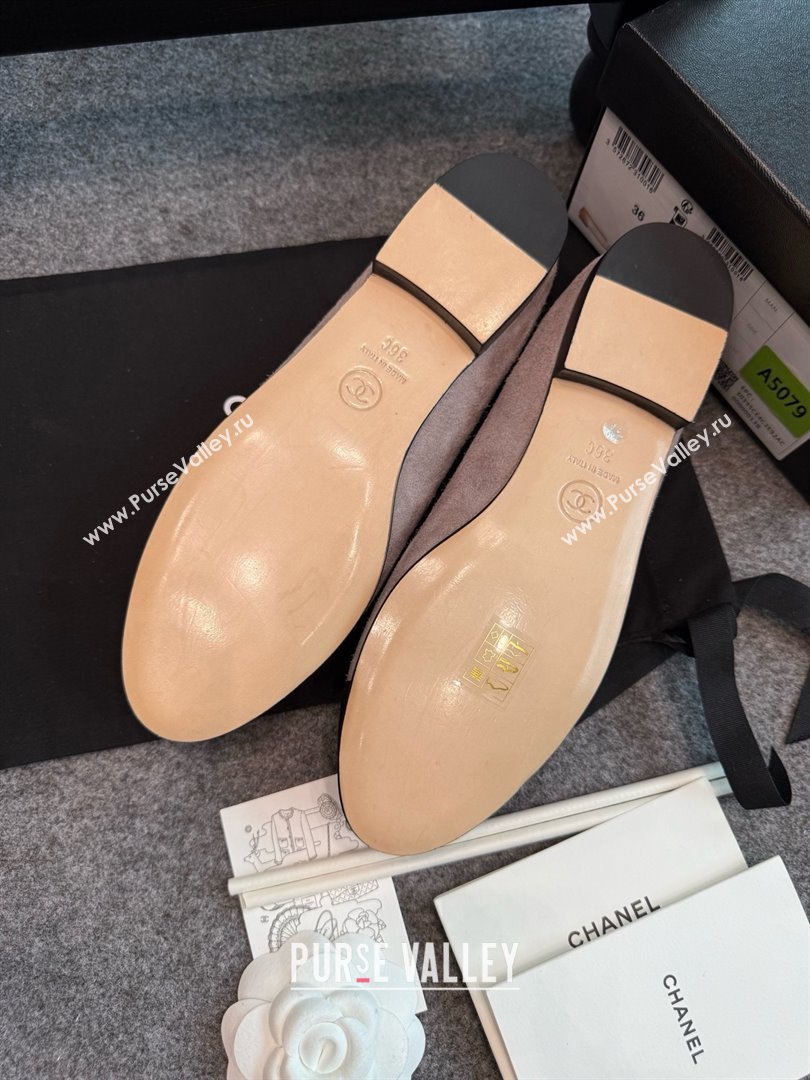 Chanel Suede Classic Ballerinas CHB070902 Grey 2025 (MD-25070902)