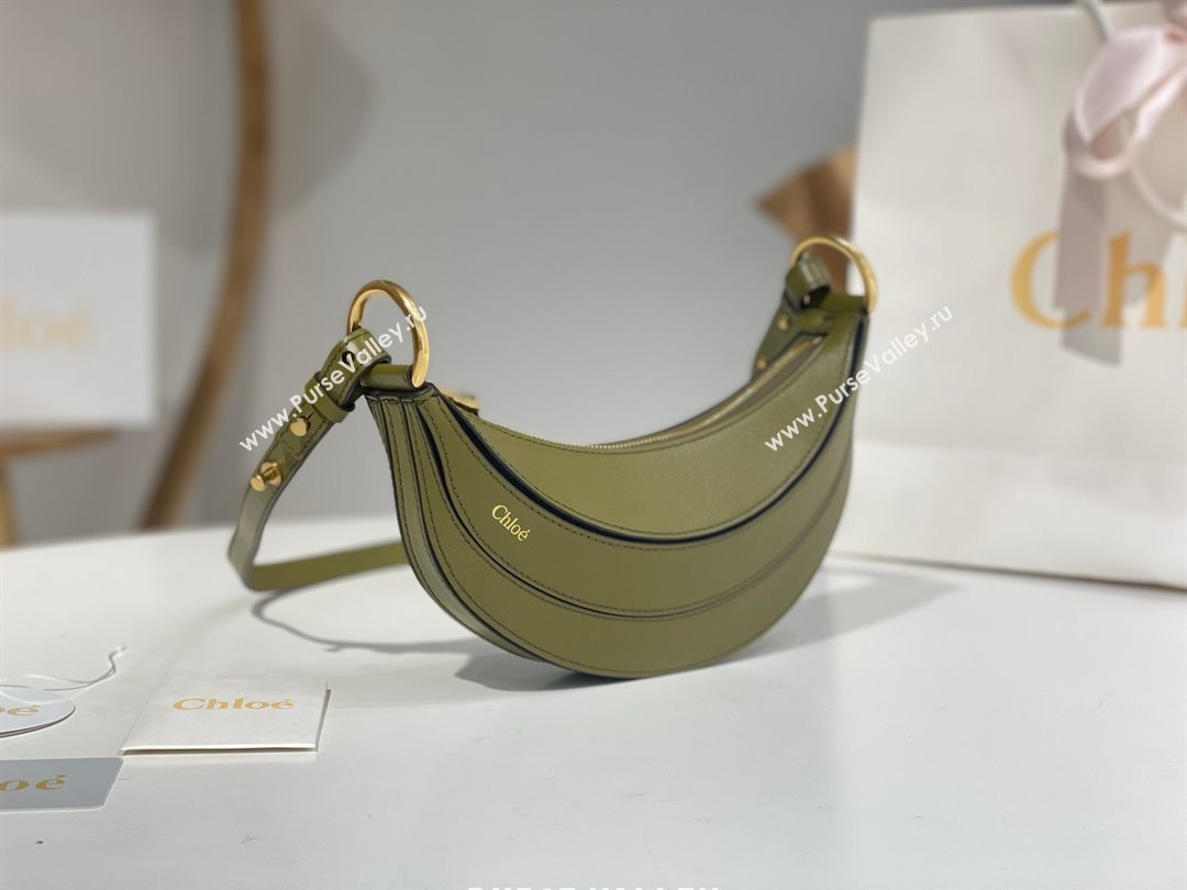 Chloe Banana Cross-body Bag in Grained Leather W865 Green 2025 (DL-25071102)