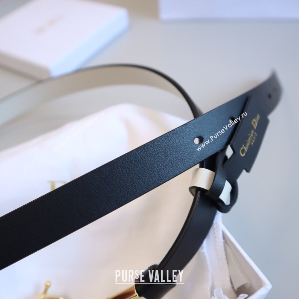 Dior CD Calfskin Belt 2cm C71204 Black 2025 (YANG-25071204)