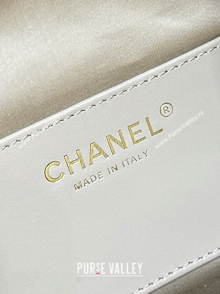 Chanel Haas Grained Calfskin Medium Hobo Bag AS5311 Apricot 2025 Top Quality (SHUNY-25072913)
