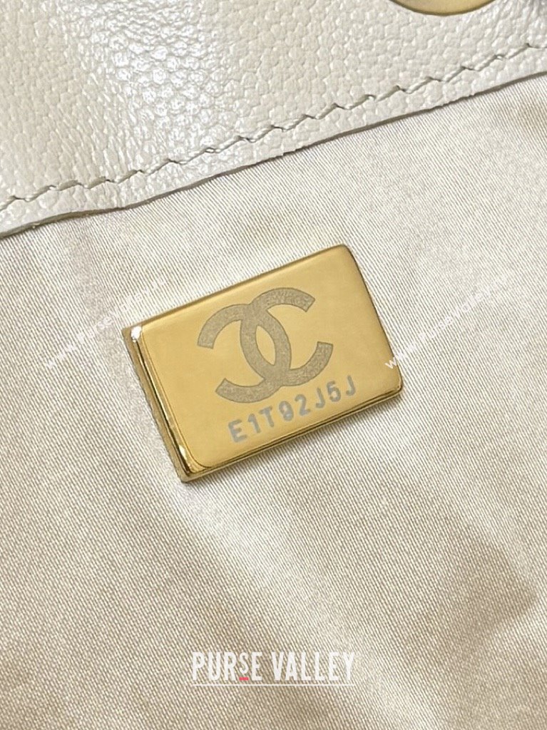 Chanel Haas Grained Calfskin Medium Hobo Bag AS5311 Apricot 2025 Top Quality (SHUNY-25072913)